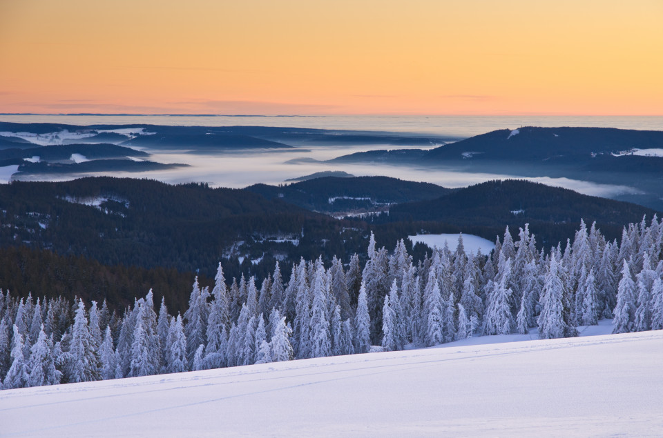 Wintermorgen auf dem Feldberg