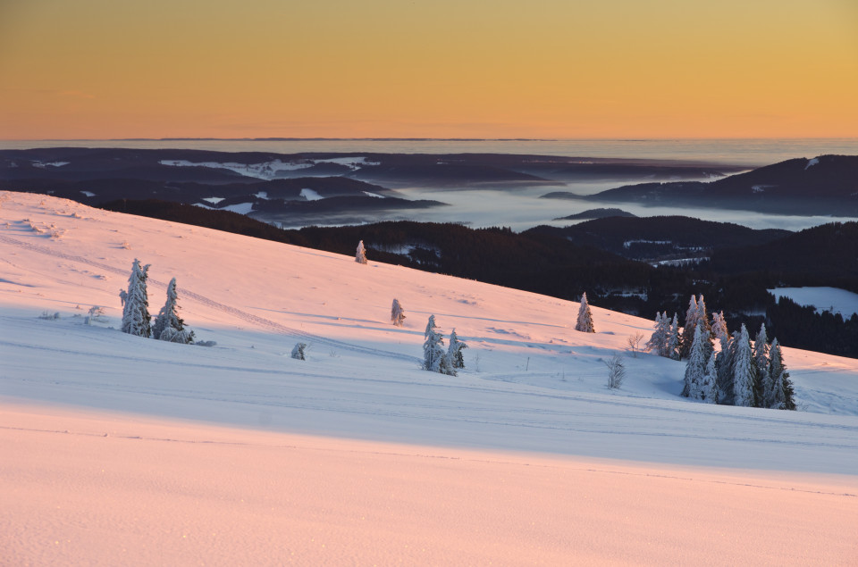 Wintermorgen auf dem Feldberg