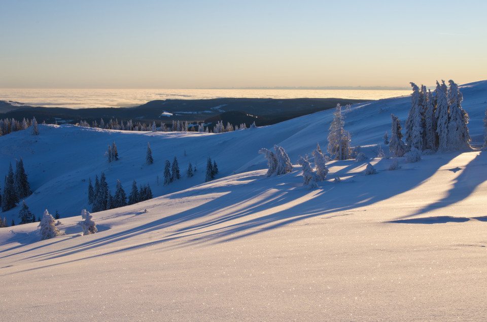 Wintermorgen auf dem Feldberg