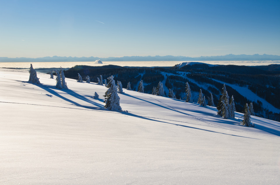 Wintermorgen auf dem Feldberg