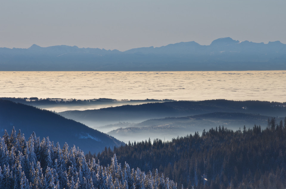 Wintermorgen auf dem Feldberg