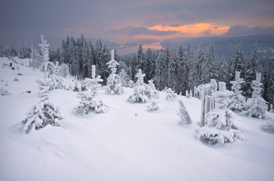 Blick vom Kapellenkopf zum Schluchsee