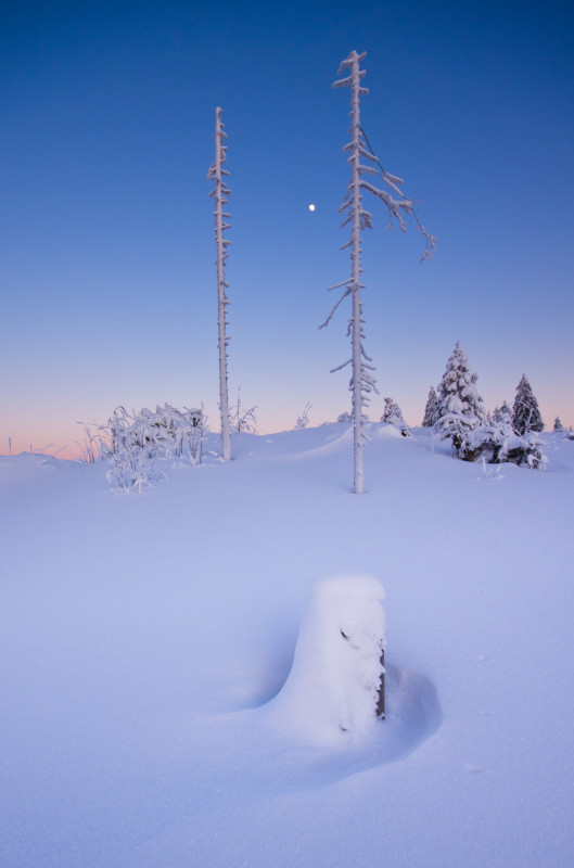 Winterabend im Feldberggebiet