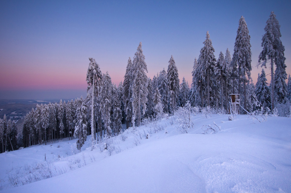 Winterwald im Feldberggebiet nahe Zweiseenblick