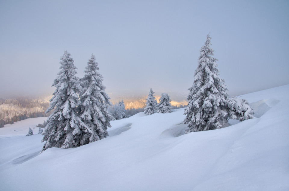 Feldberg, Winterlandschaft