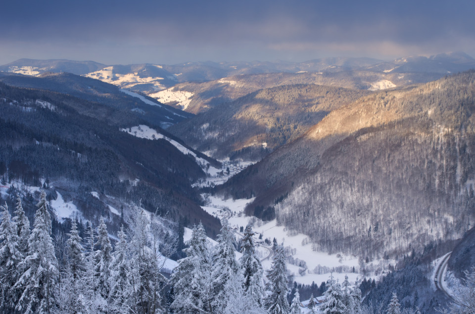 Wiesentalblick am Feldberg