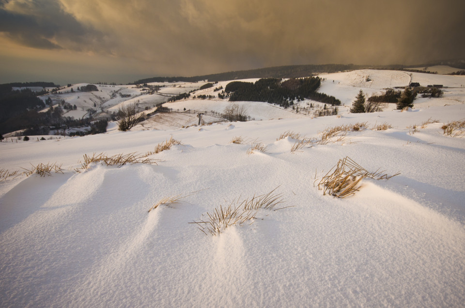 Spätwinterliches Rückseitenwetter am Schauinsland