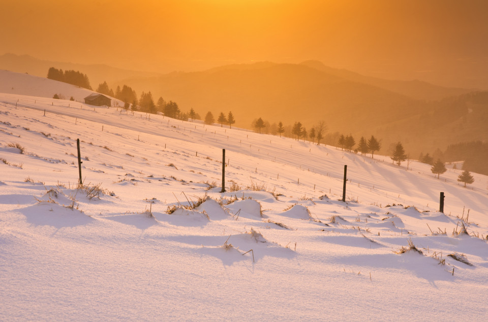 Spätwinterliches Rückseitenwetter am Schauinsland