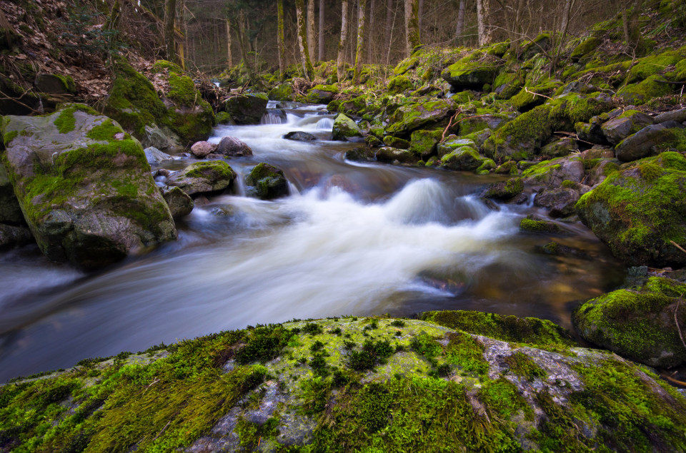 Rotbach im Höllental