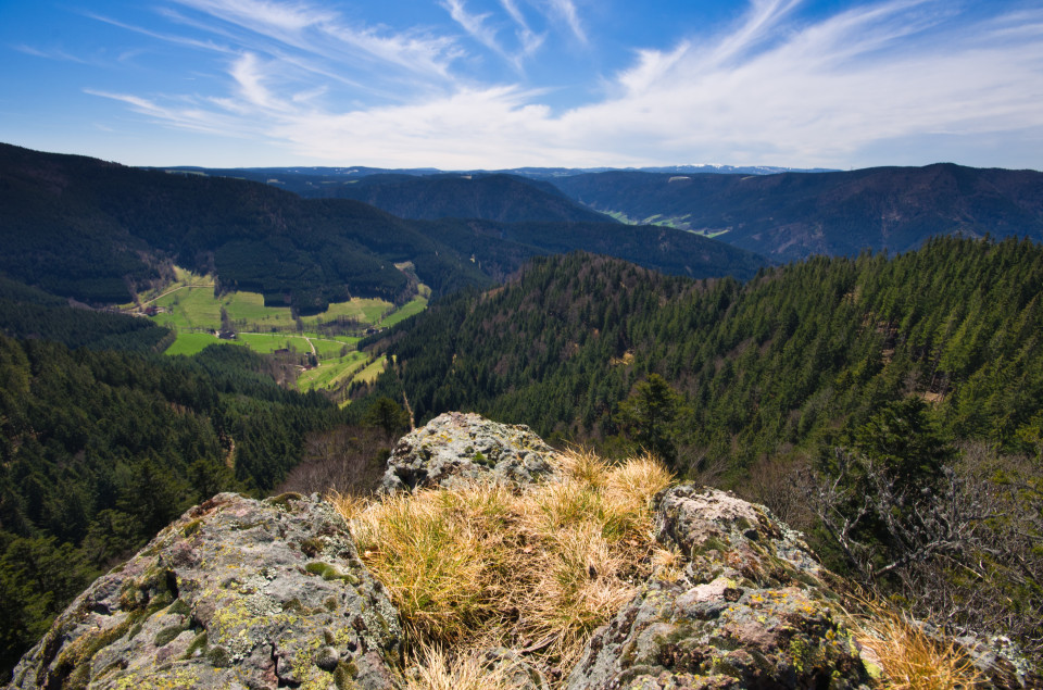 Blick vom Dürrstein über Hintergriesbach