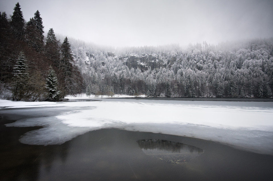 Frühlingsschnee am Feldsee