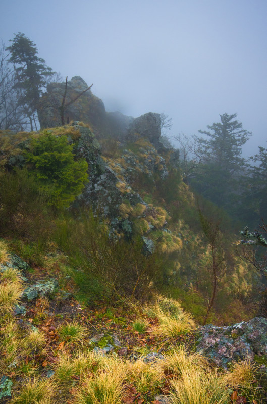 Dürrsteinfelsen bei Simonswald im Regen