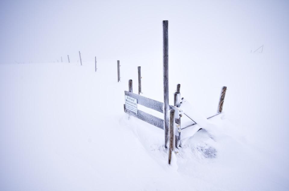 Whiteout am Feldberg