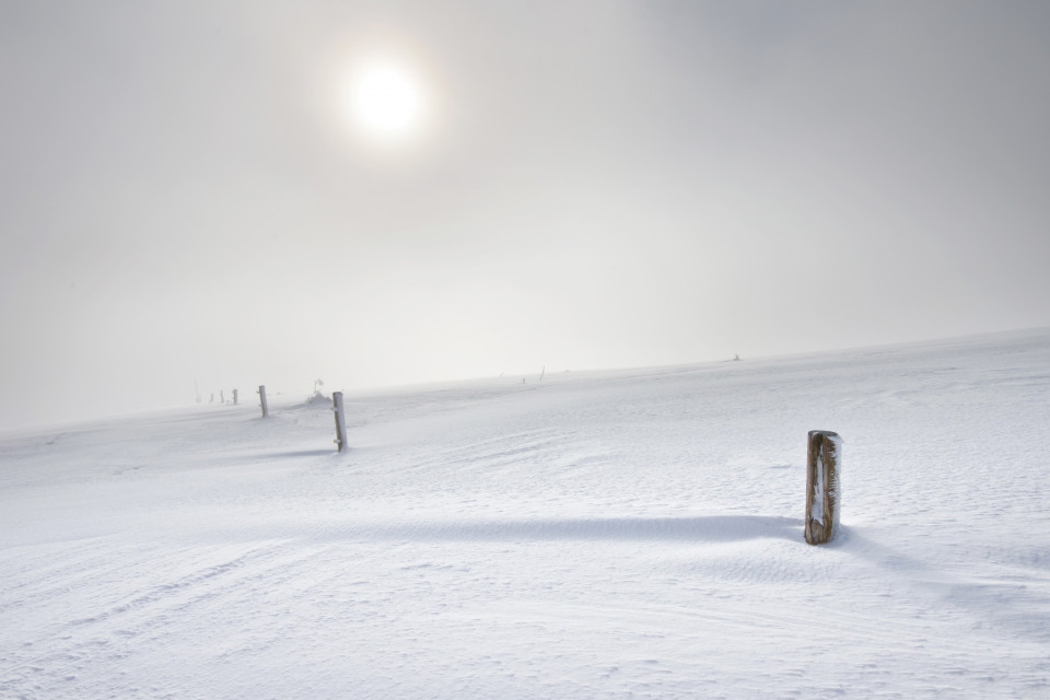 Schnee und Nebel