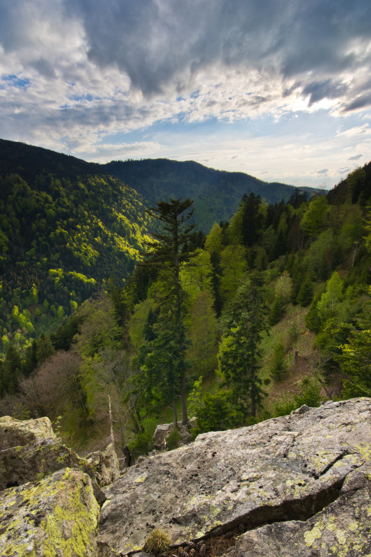 Blick vom Posthaldefelsen über das Höllental