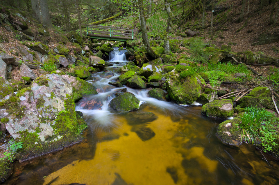 Windbergschlucht