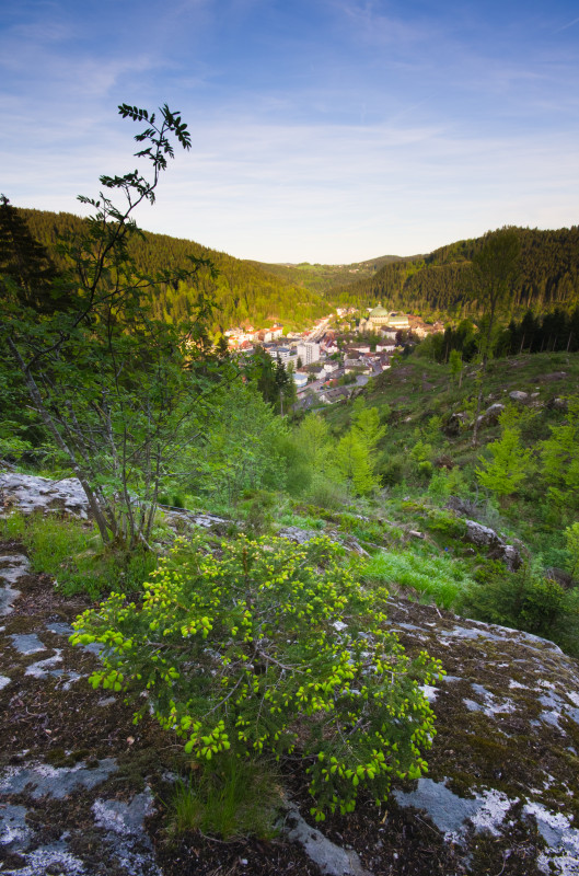 Blick auf St. Blasien vom Weißenstein