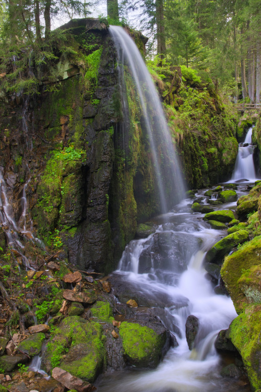 Albschlucht bei Menzenschwand