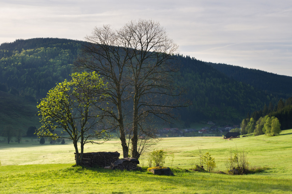 Krunkelbachtal