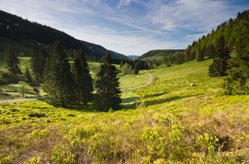 Albtal oberhalb Menzenschwand