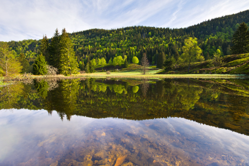 Klusensee bei Menzenschwand