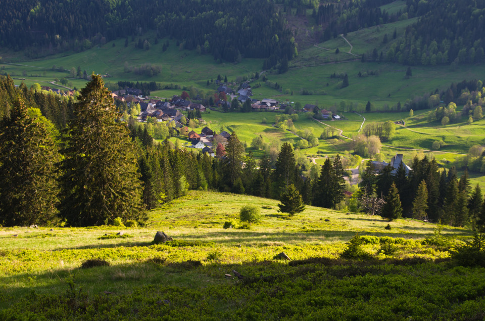 Blick über Menzenschwand