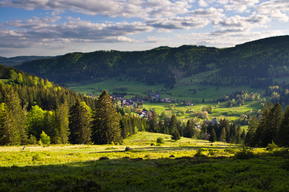 Blick über Menzenschwand