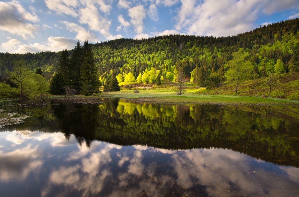 Klusensee bei Menzenschwand