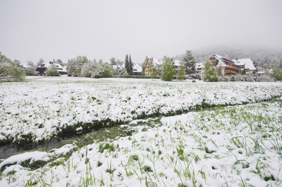 Wintereinbruch zu den Eisheiligen