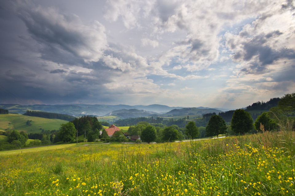 Früsommerimpression bei St. Peter