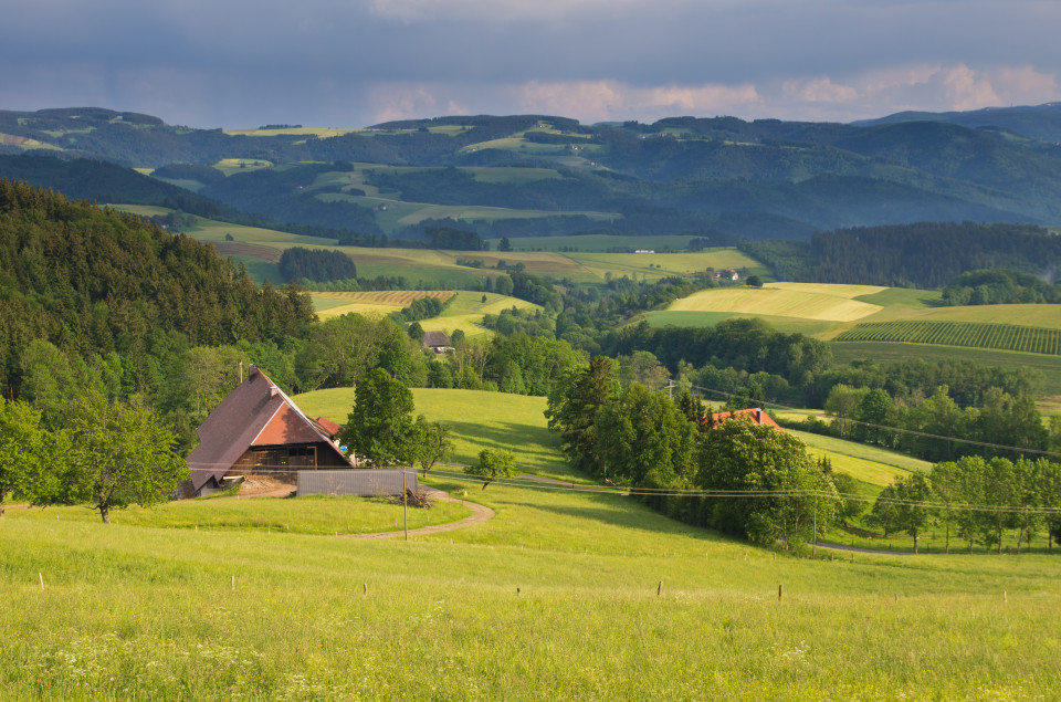 Früsommerimpression bei St. Peter