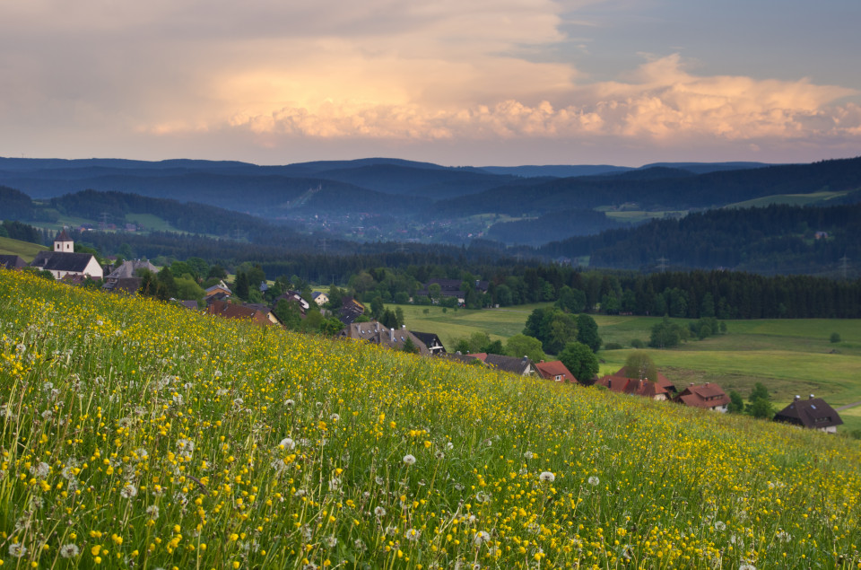 Gewittrige Frühsommerstimmung bei Breitnau