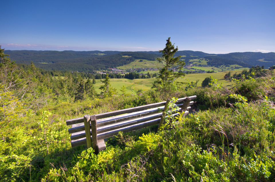 Bernau, Hohfelsen