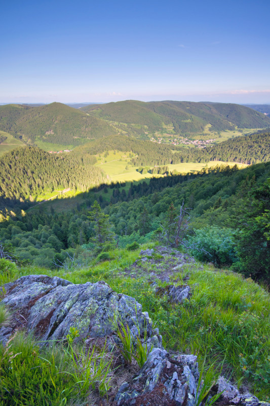 Spießhorn, Blick über Menzenschwand