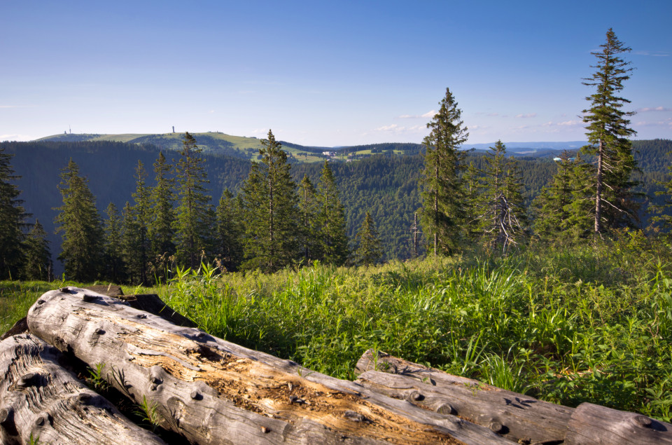 Spießhorn, Blick zum Feldberg