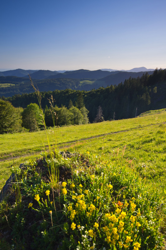 Bernau, am Hans-Thoma-Weg