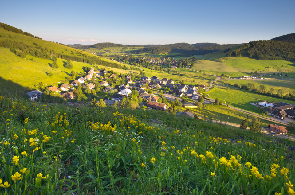 Bernau, Blick vom Scheibenfelsen