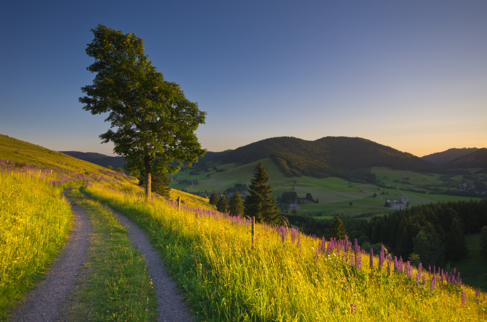 Bernau, am Panoramaweg