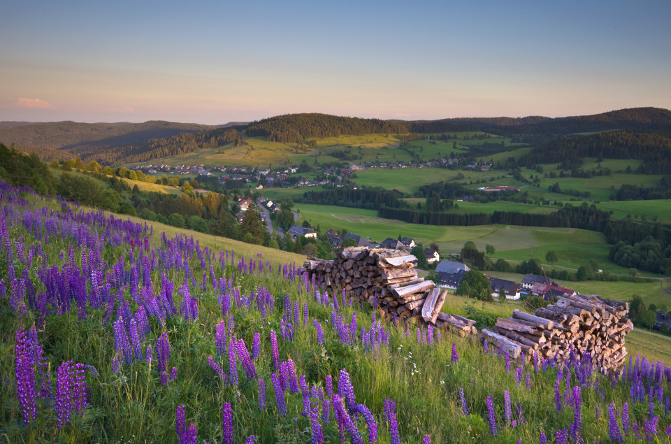 Bernau, am Panoramaweg