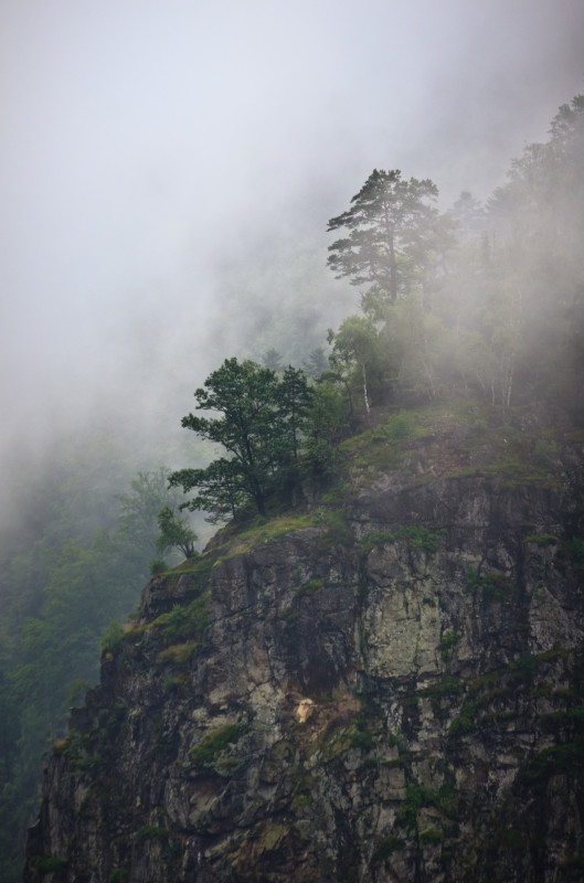 Nebelschwaden nach Regen im Höllental