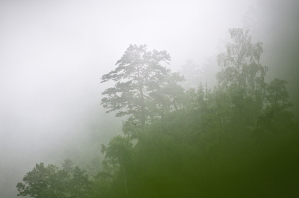Nebelschwaden nach Regen im Höllental