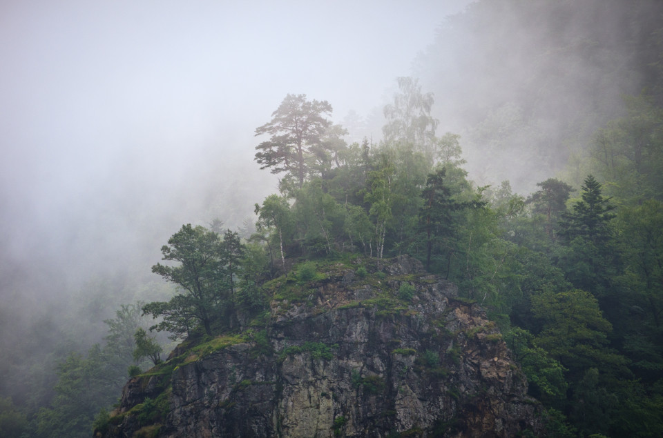 Nebelschwaden nach Regen im Höllental