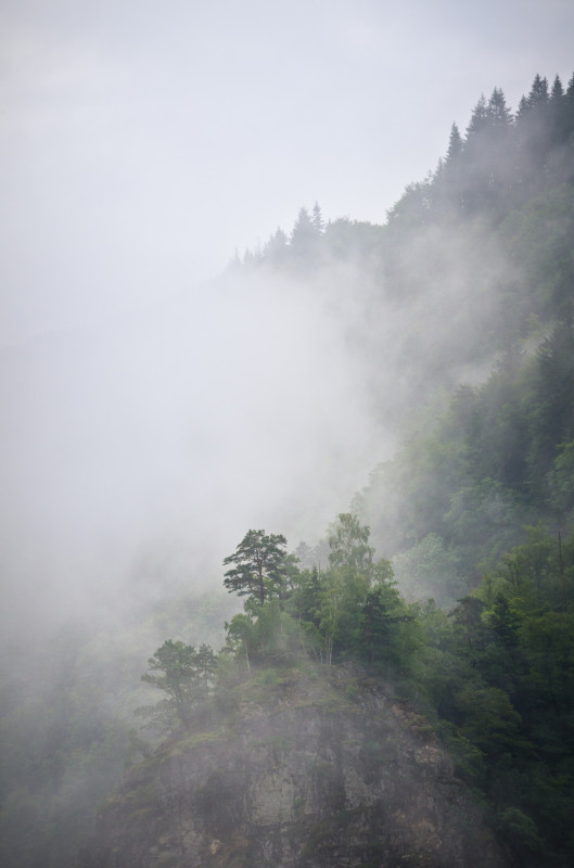 Nebelschwaden nach Regen im Höllental