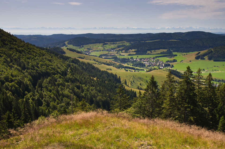 Blick über Bernau zu den Alpen