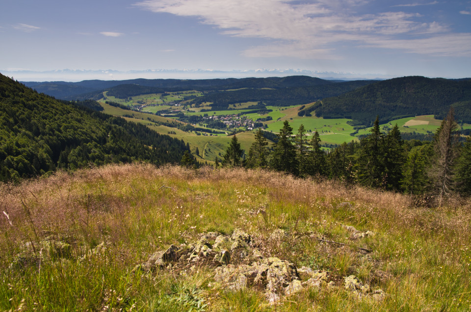 Blick über Bernau zu den Alpen