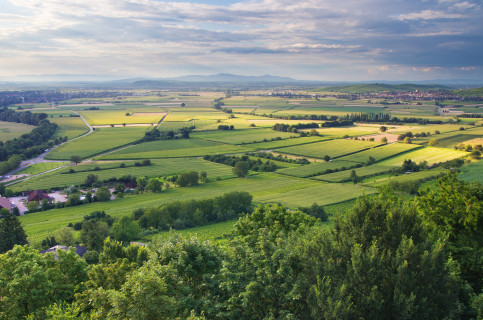 Blick über die Rheinebene von der Staufener Burg