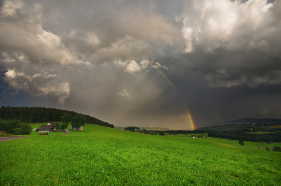 Schauerwetter bei Breitnau