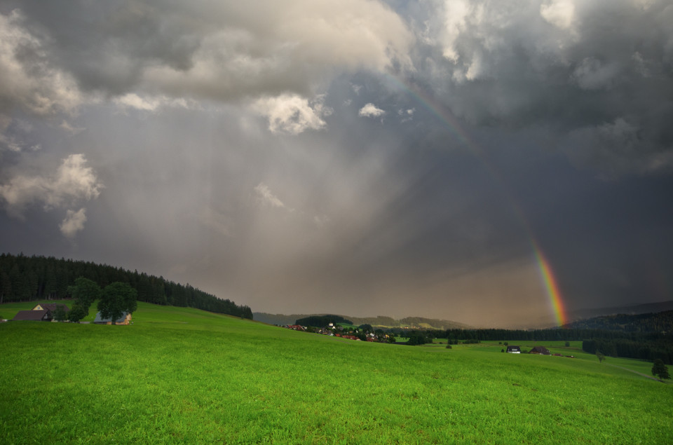 Schauerwetter bei Breitnau