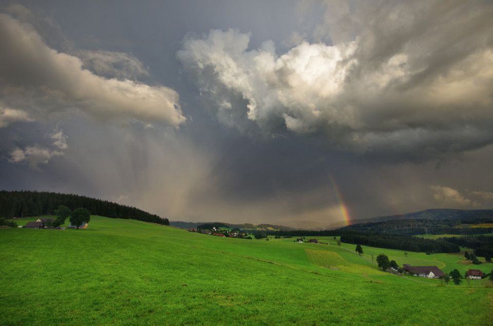 Schauerwetter bei Breitnau