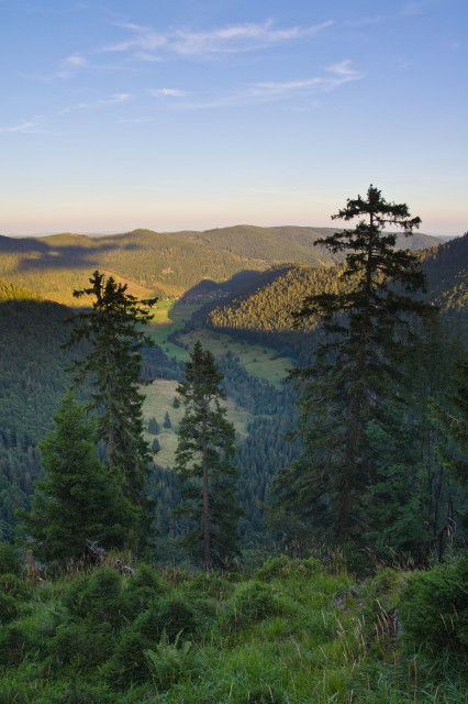 Blick über das Krunkelbachtal